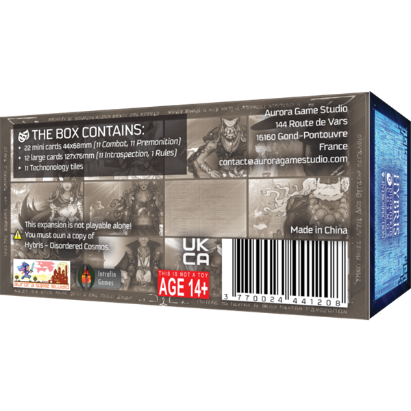 Hybris - Introspection expansion (EN)