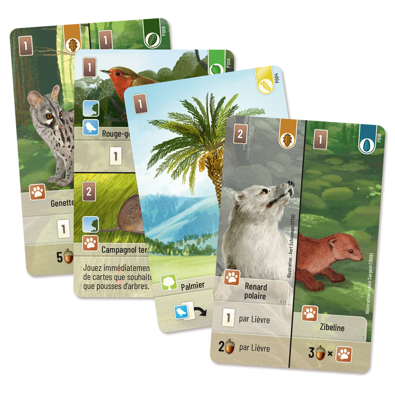 Forêt Mixte : Exploration (FR)