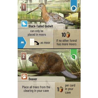 Forest Shuffle - Dartmoor (EN)