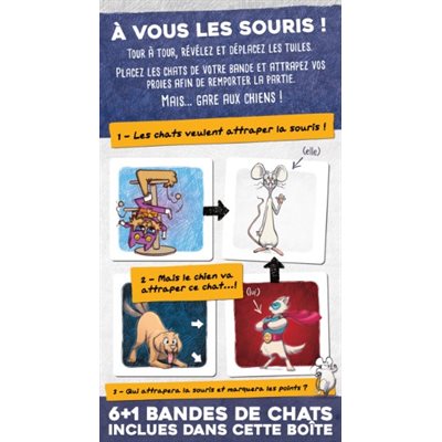 Chat de poche (FR)