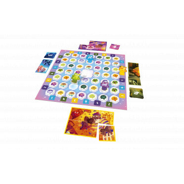 Des Souvenirs Plein le Ciel (FR)