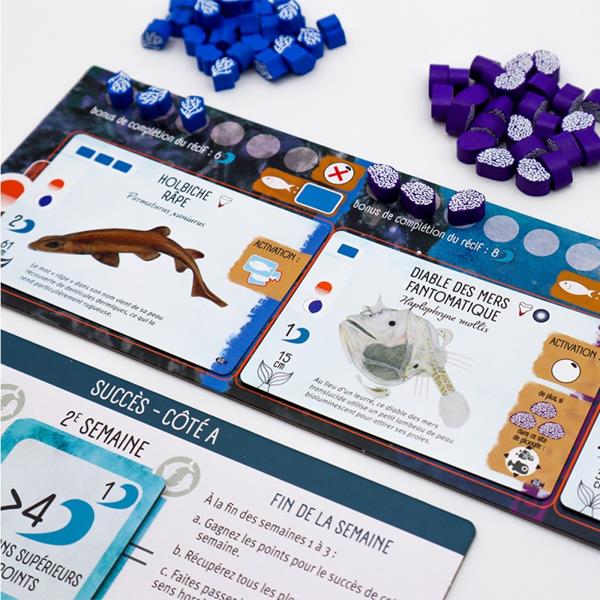 Finspan - Extension requins et récifs (FR)