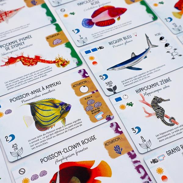Finspan - Extension requins et récifs (FR)