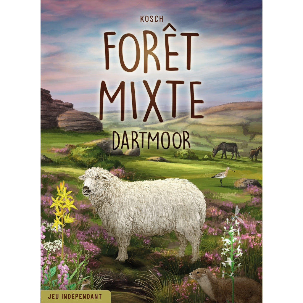 Forêt Mixte - Dartmoor (FR)