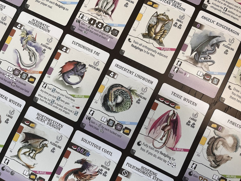 Wyrmspan - Dragon Academy expansion (EN)