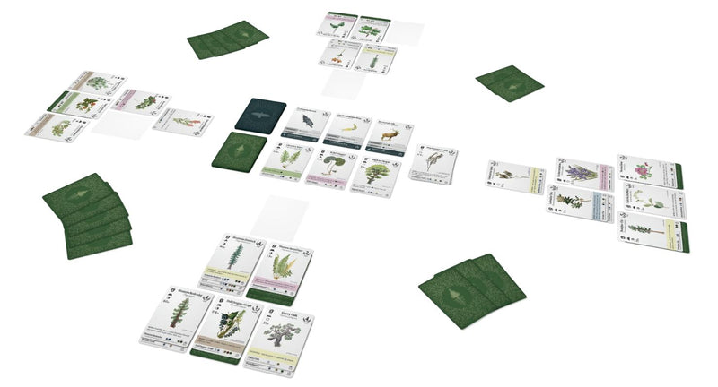 Reforest: Plants of the Pacific Northwest Coast (EN)