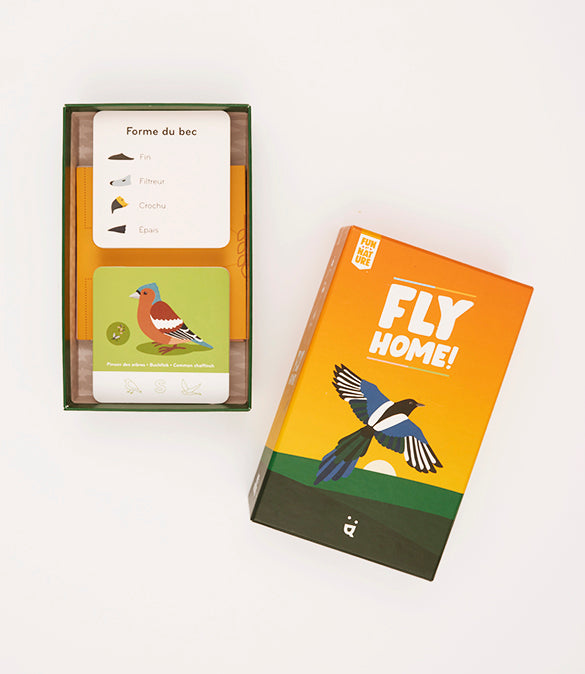 Fly Home - Fun By Nature Games (FR)