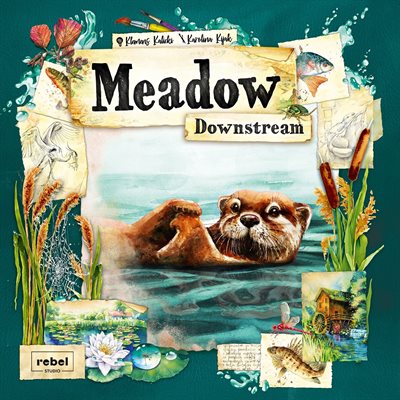 Meadow- Downstream